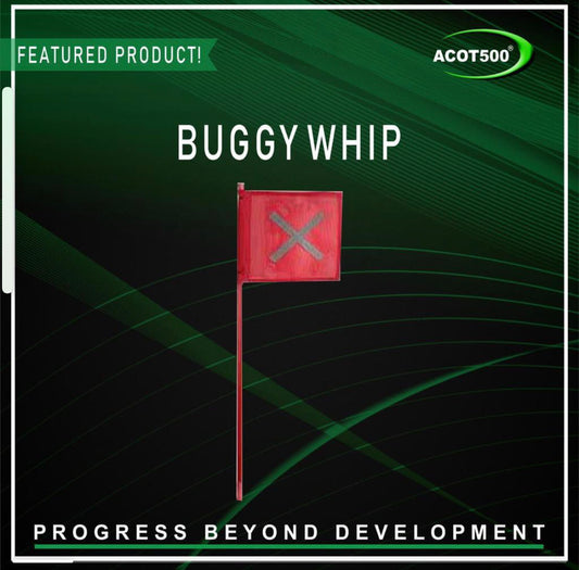 Safety flag or buggy whip?