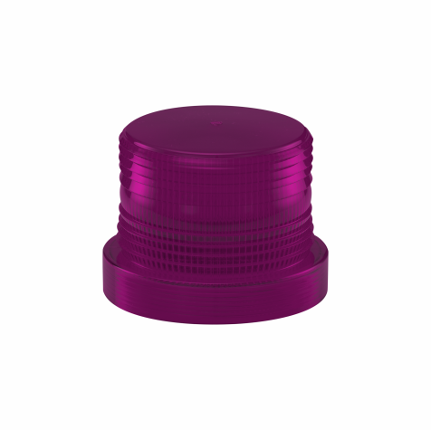 Magenta Lens